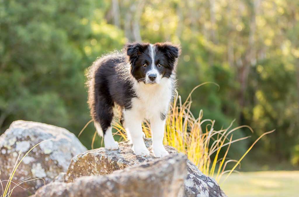 Tempus visits Kangaroo Valley